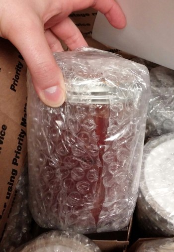 2015_03 14 Ferments arrived safely