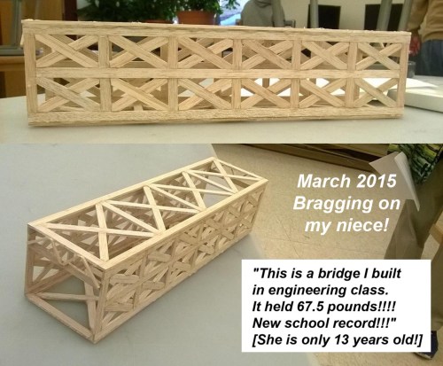 2015_03 26 Catherine built a bridge