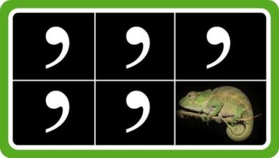 9810_10153080135483552_6834363738632707081_n