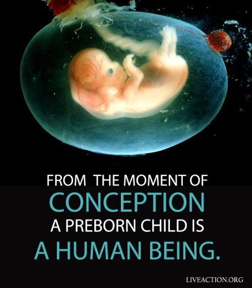 ABORTION from moment of conception