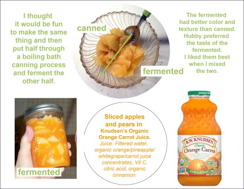 Can vs Ferment experiment