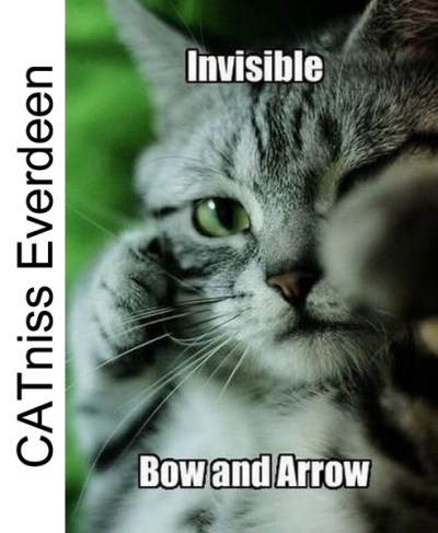 CAT niss Everdeen