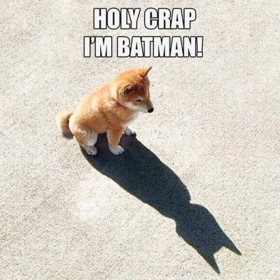 DOG Batman