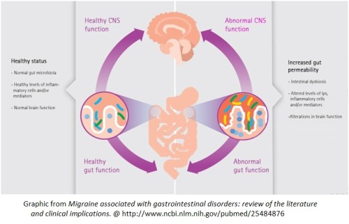 Gut and CNS function
