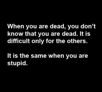 10557254_10152310867053458_584332859084748774_n