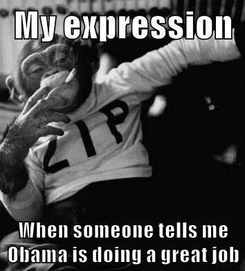 11018918_10206148182213972_2853037165163326856_n