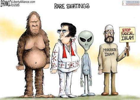 11096388_10205217157221003_8235229436348477663_n