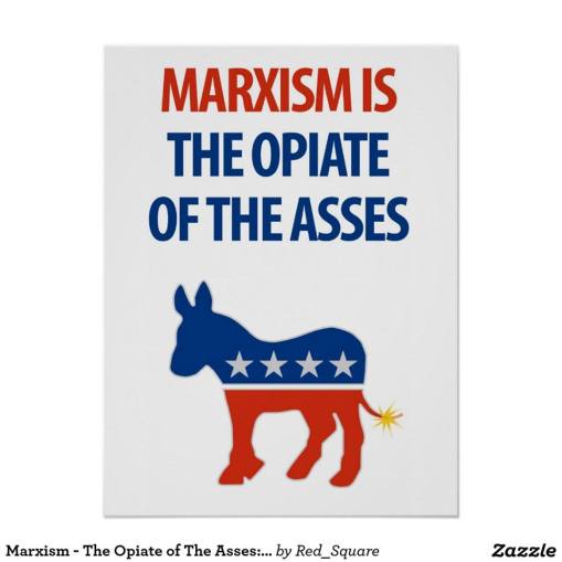 10931090_10205361428307690_1755341333220926392_n