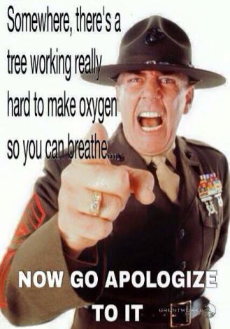 11078260_933380500057359_3840061265795328104_n