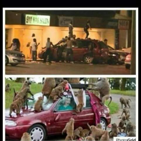 11209447_769543683164329_4955404563271195953_n