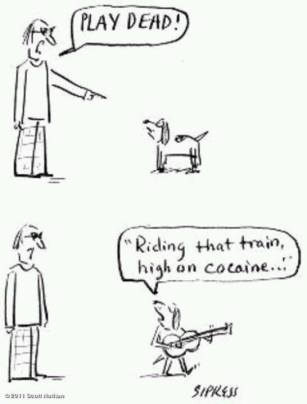 1959939_598048250300112_3152879409754298350_n