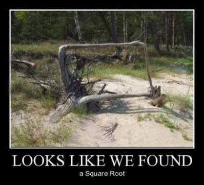 1960095_670203686372179_973950819_n