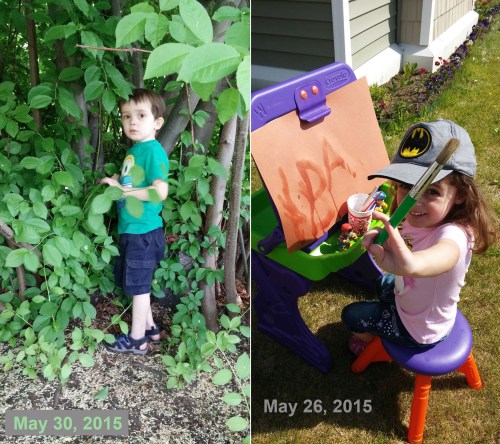 2015_05 Mascot Update