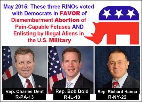 2015_05 RINOs in the House