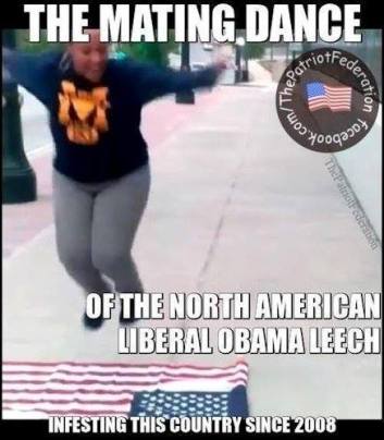 22186_10205589806056991_771519272834711855_n