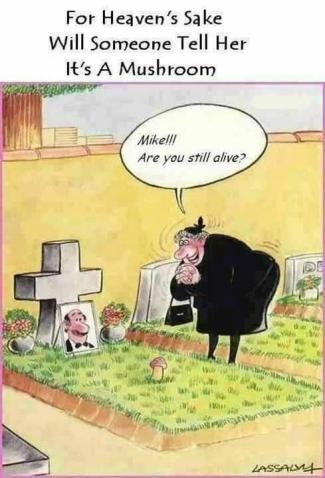 8915_10151149255462687_1862021635_n