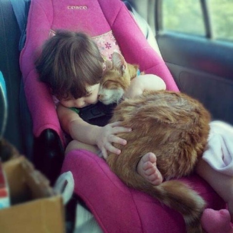 Cat-Curled-Up-with-Baby
