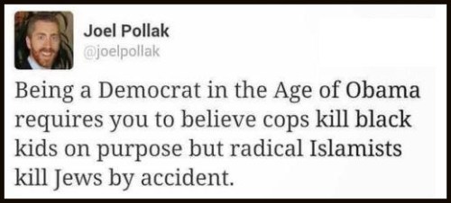 Democrat in Age of Obama