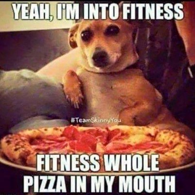 DOG fitness pizza - sent to T&C