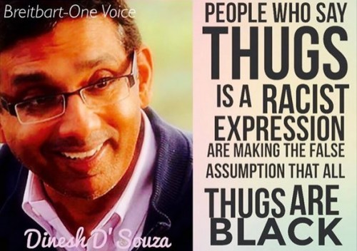 D'Souza - All thugs are black is racist