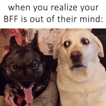 10481942_10153039766098246_163411388846974508_n