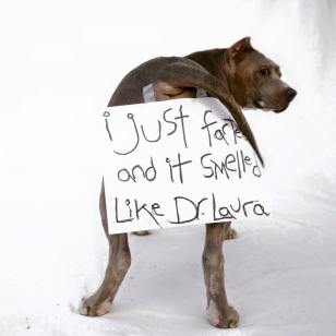 10882384_337543256454363_1825875402518887478_n