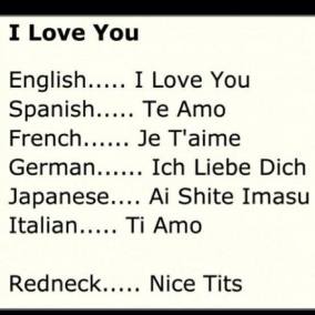 11002629_1082649831792679_2581759854848875112_n