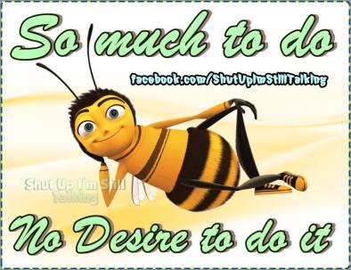 11218896_3941483122622644_7960354076376985981_n