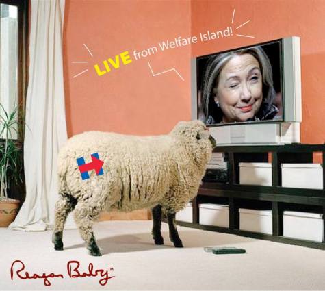 11392951_1627899250780776_7772528235730544742_n