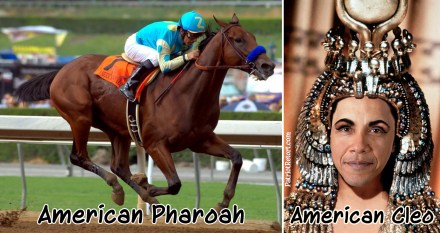 American-Pharoah