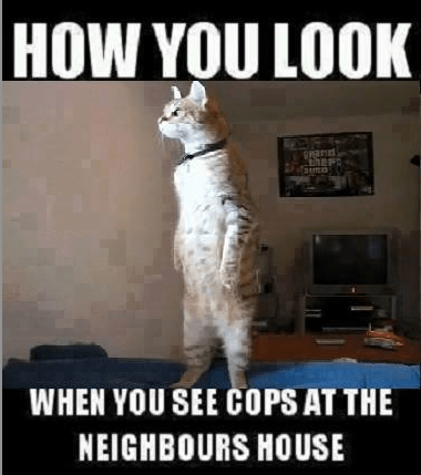 10344839_695818013873922_5606391816318567275_n