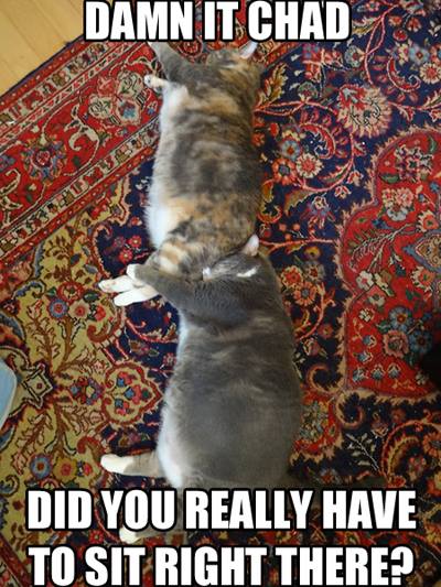 10616094_610887875682181_2647729680475696043_n