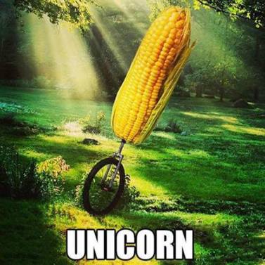 10626622_891275237558134_3163479383465539435_n