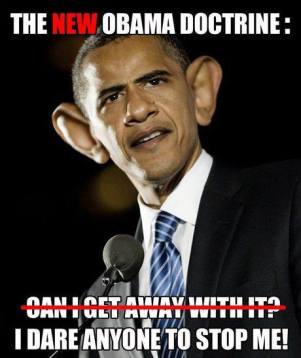 11143337_10203462803605865_5517334922567861140_n