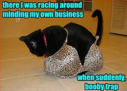 11214209_10154099013002818_1605641342604975974_n