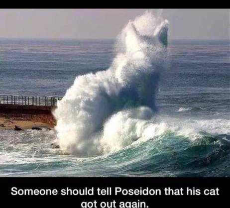 11541962_10153216401709425_2356347077351459277_n