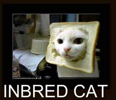 1463246_456642114440092_1919671227_n