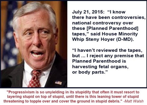 2015_07 21 Hoyer's leaning tower of stupid