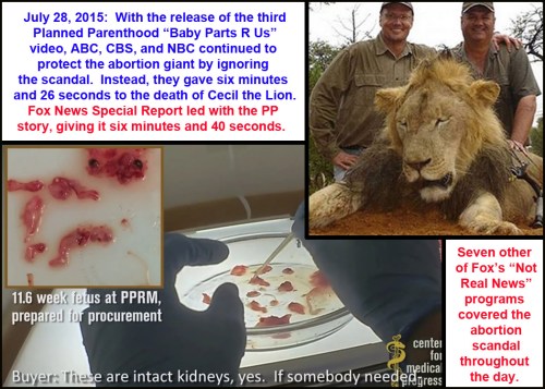 2015_07 28 MEDIA FAIL Cecil vs PP