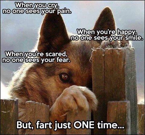 DOG lament