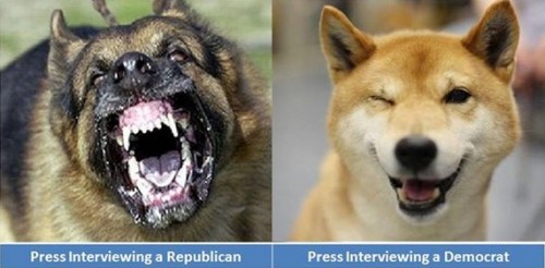 DOGS and MEDIA BIAS