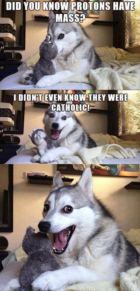 DOGS Protons and Catholics