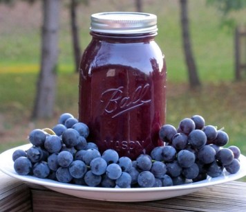 Grapes and grape juice