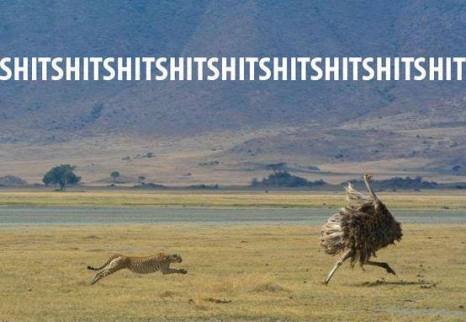 10143_558107887560604_1391000618_n