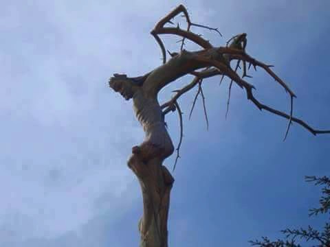 11061329_10207272413869325_5093762440989719469_n