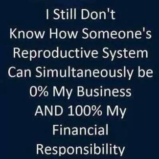 1499472_398081720325012_1847081396_n