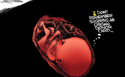 2015_07 Unborn and organ donor
