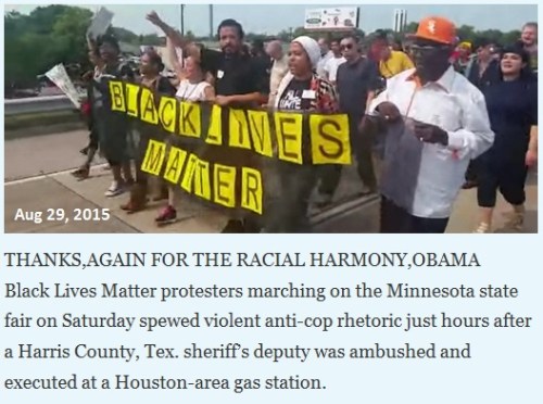 2015_08 29 Black Lives Matter - Pigs