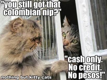 934057_541055439265849_1785453865_n