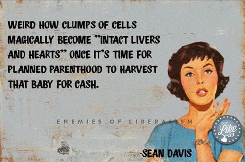 ABORTION PP weird how clumps of cells